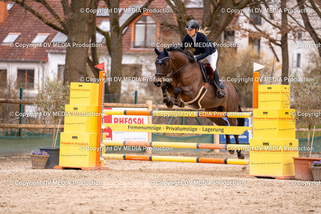 Kranichstein Tag 2-459 | dv-media-shop - Realisiert mit Pictrs.com