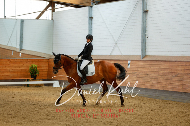 _62_4882 | Turniersportfotografie; Pferdefotografie; Dressurfotografie