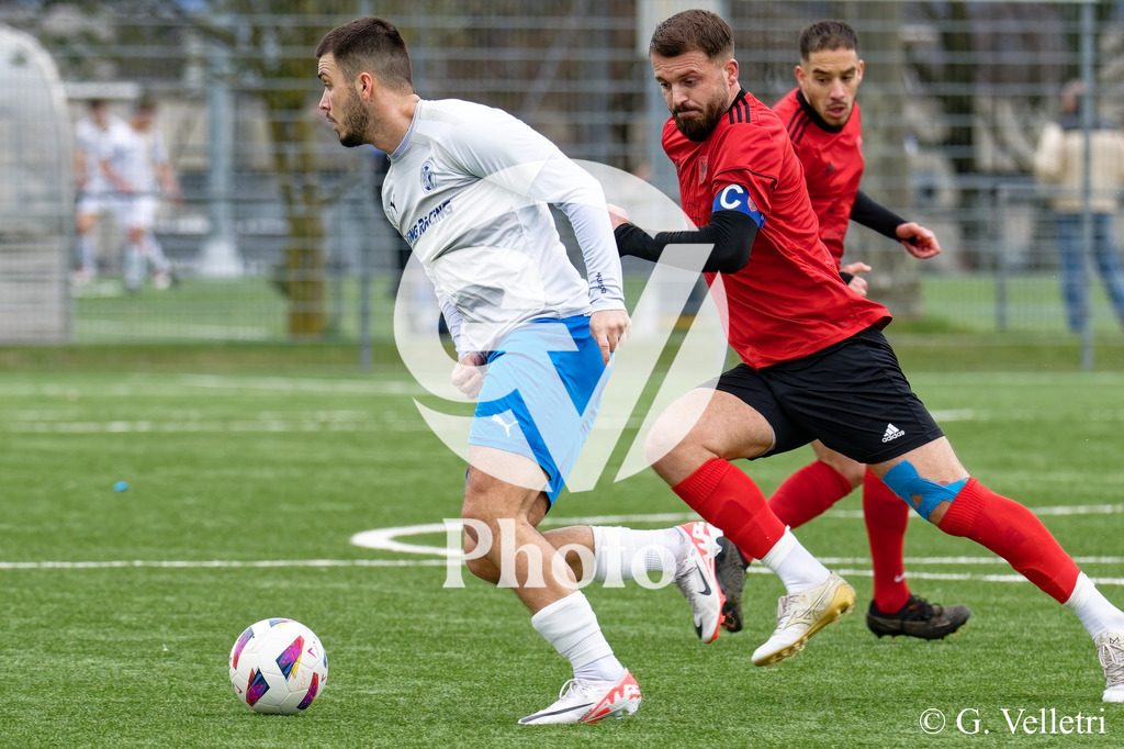 DSC_3631 | Velletri Photo