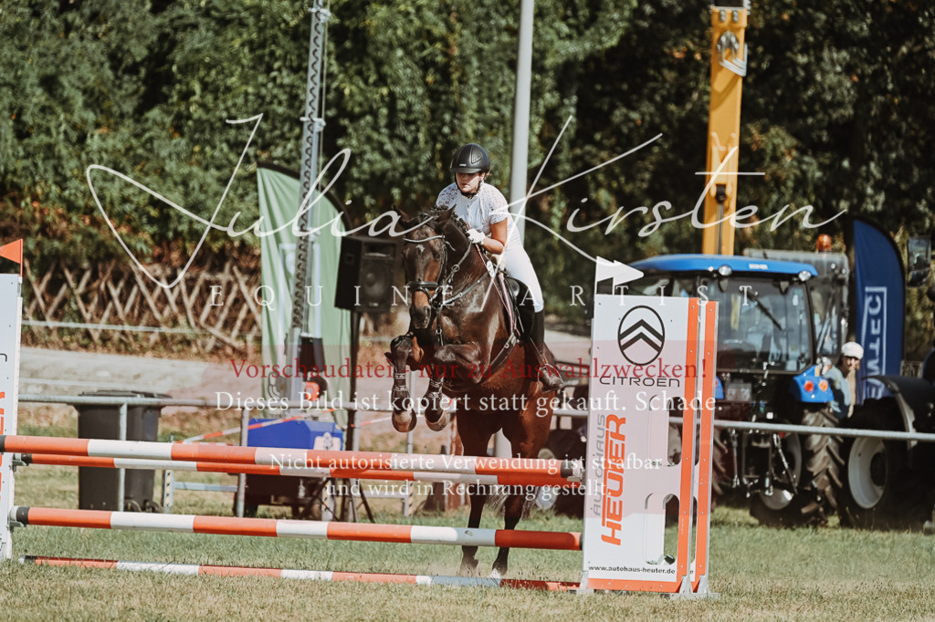 DSC_9547 | Pferde- und Turnierfotografie in Westsachsen. Pferdeportraits, Auftragszeichnungen und intuitive Kunst.