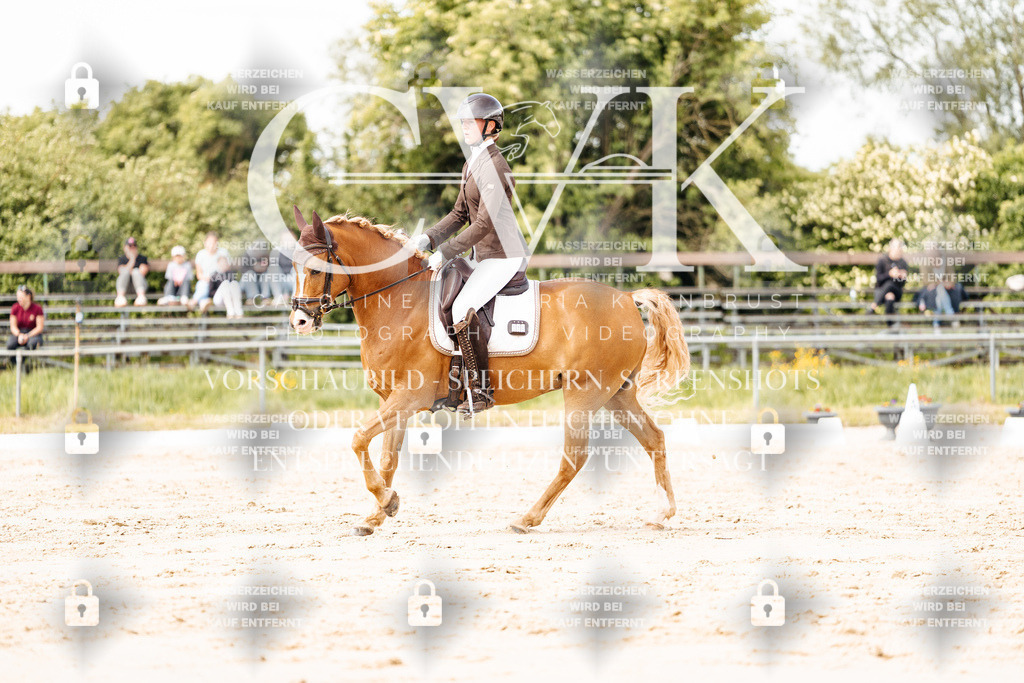CK901401 | Turnierfotografie Pferdefotografie Trier Rheinland-Pfalz Pferdesport Reitsport Tierfotografie Sportfotografie Pferdevideo Pferdevideografie Equestrianvideography equestrianphotography  - Realisiert mit Pictrs.com