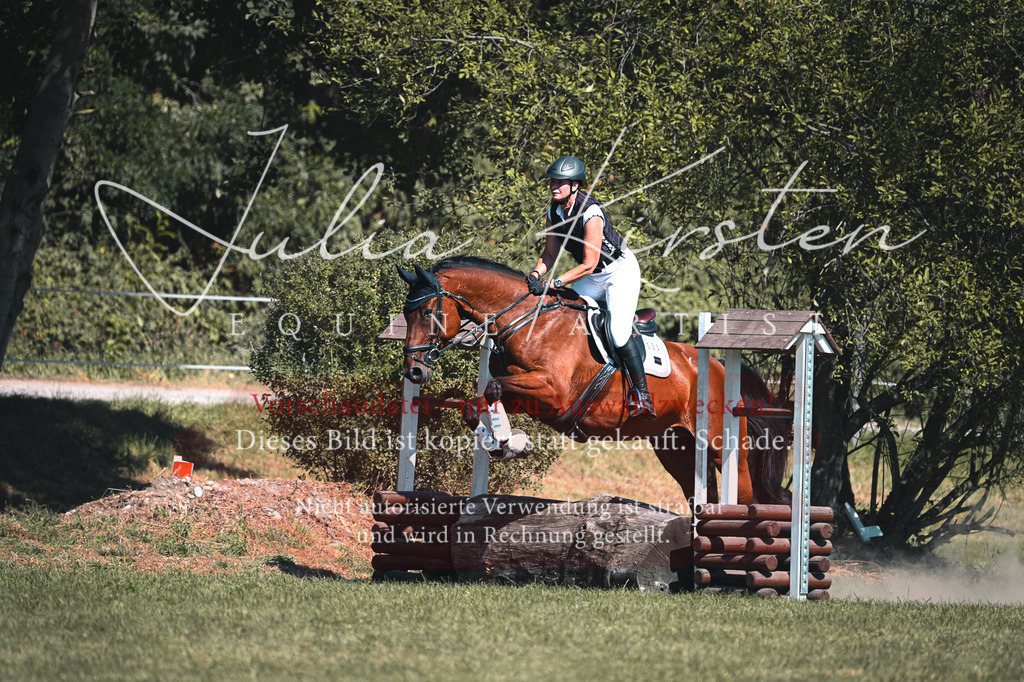 DSC_8247-2 | Pferde- und Turnierfotografie in Westsachsen. Pferdeportraits, Auftragszeichnungen und intuitive Kunst.