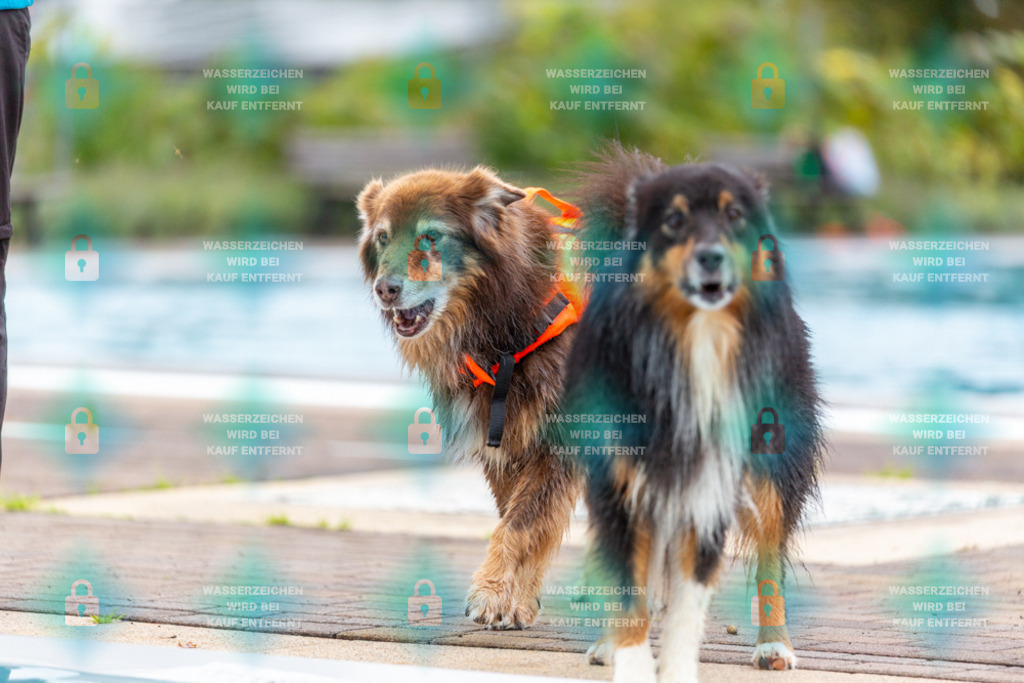 _HP_6054_1000o | HetPix, HetPix Fotodesign, Fotografie, Fotodesign, Webshop, Sportfotografie, Portraitfotografie, Onlineshop, Sportfotografie, Polch, Motorsportfotografie, Eventfotografie