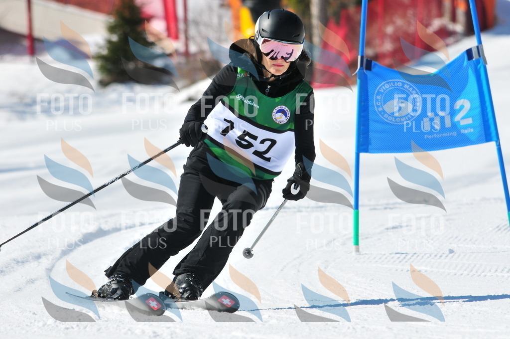 C4074 | holidayphoto