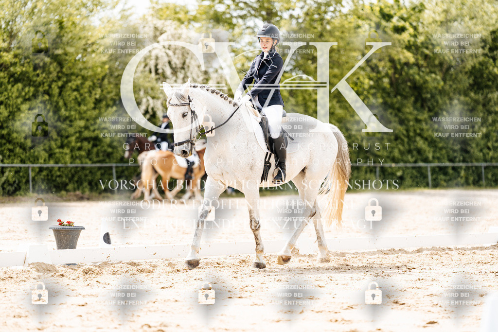 CK902131 | Turnierfotografie Pferdefotografie Trier Rheinland-Pfalz Pferdesport Reitsport Tierfotografie Sportfotografie Pferdevideo Pferdevideografie Equestrianvideography equestrianphotography  - Realisiert mit Pictrs.com