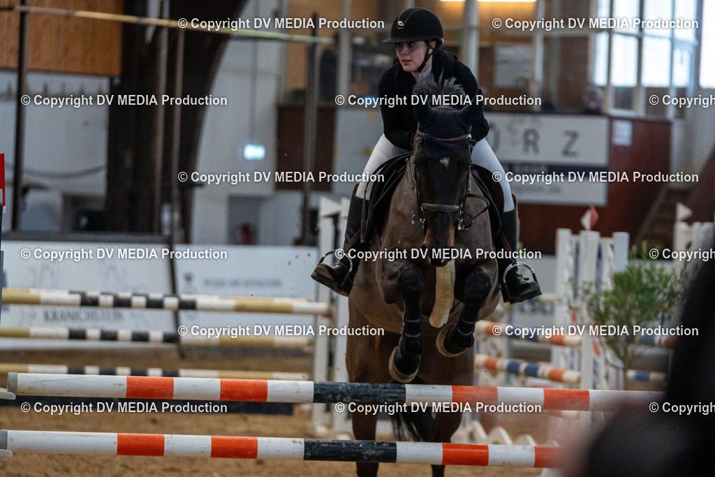 Kranichstein Tag 2-047 | dv-media-shop - Realisiert mit Pictrs.com