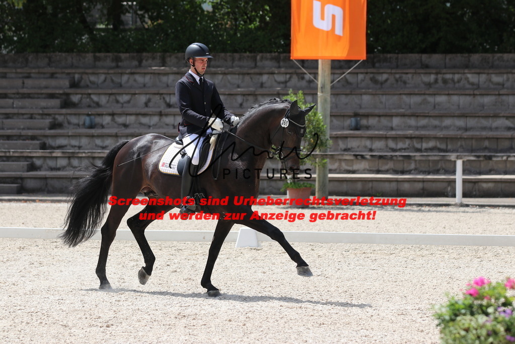 IMG_4823 | lmwpictures - Realisiert mit Pictrs.com