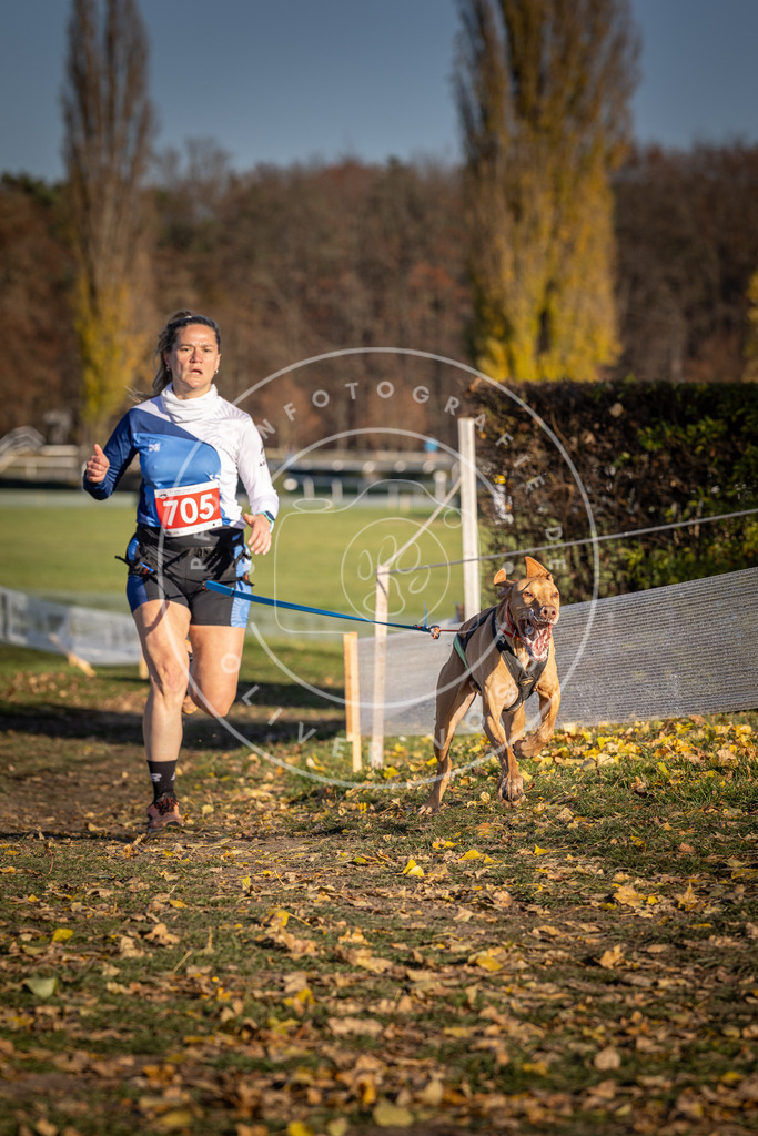 CaniXpix_DV3A1548 | Hundefotografie, Tierfotograf, Pfotenfotografie, Fotoshooting Hund, Hunde Portrait, Hundesport, Hundeportraits, Heideshooting, Hunde, Sportfotograf, Hundefotograf, Turnierhundsport, THS,  - Realisiert mit Pictrs.com