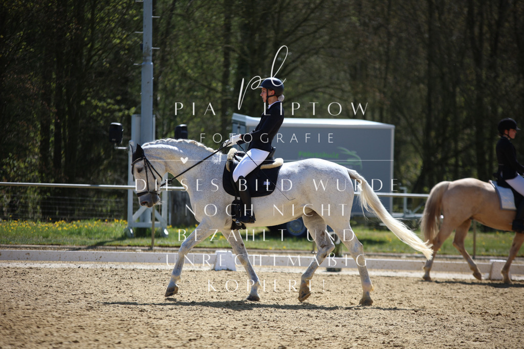 IMGT1784 | pl-fotografie