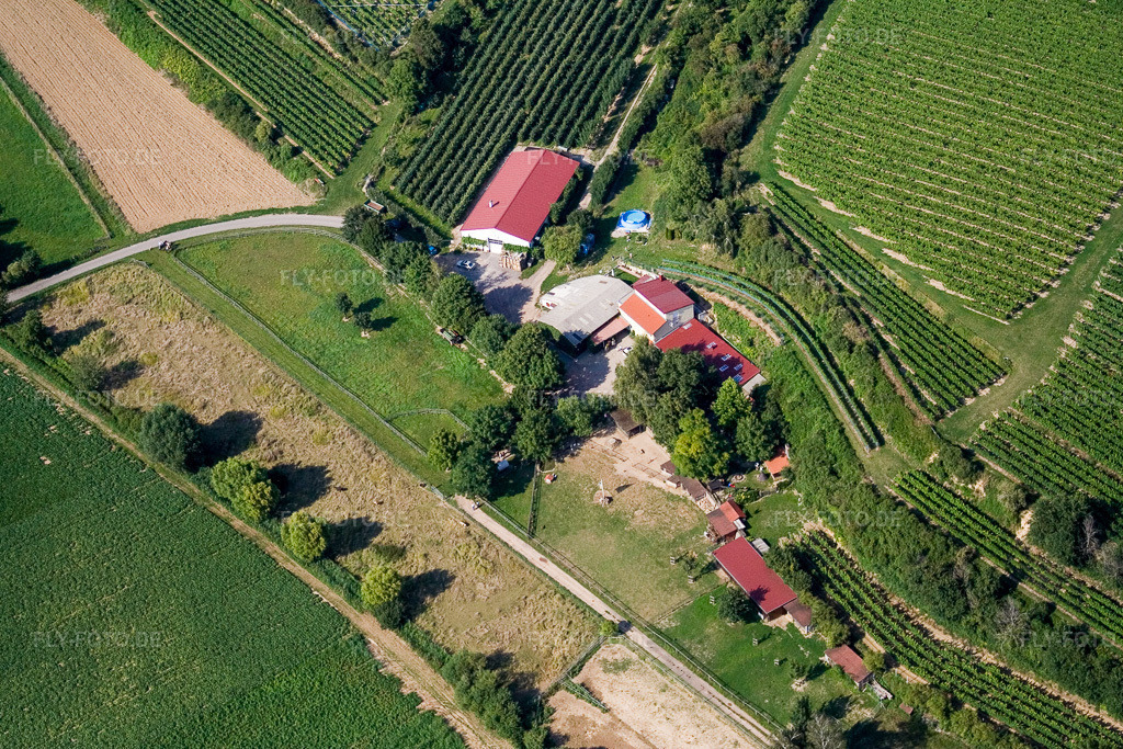 Luftbild: Ranch in Herxheim bei Landau im Bundesland Rheinland-Pfalz in Deutschland. Foto: IMG_12576.jpg vom 17.08.2008 durch Werner Riehm/FLY-FOTO.de