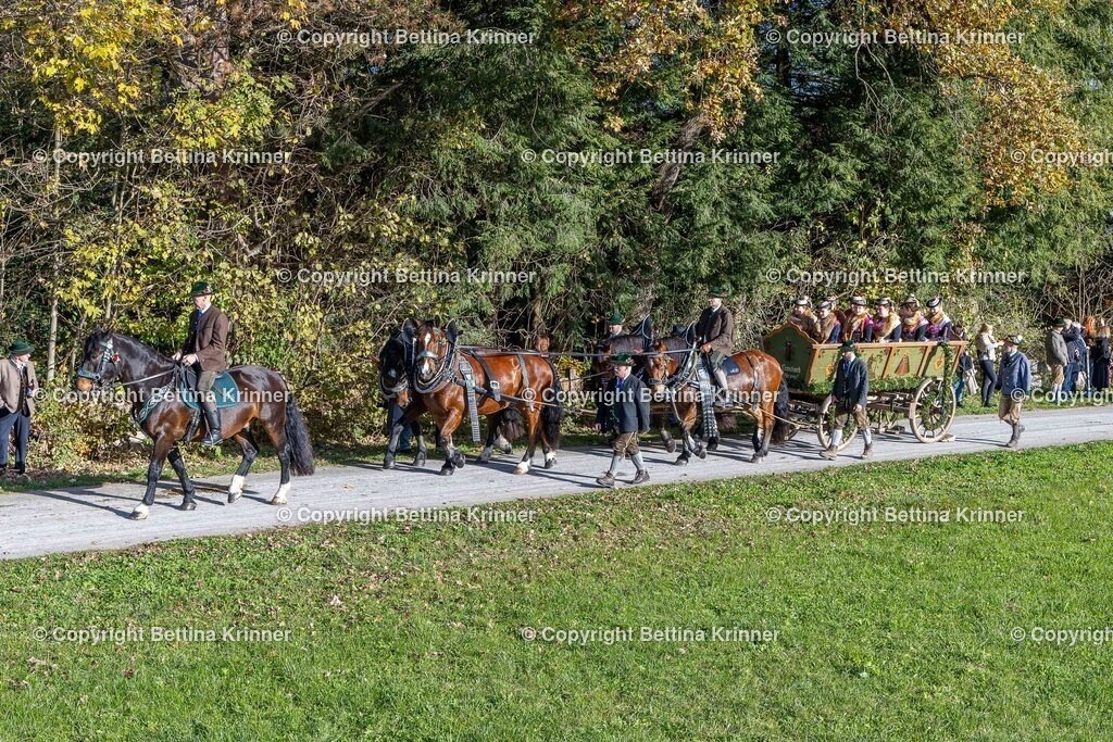 LBT24-749 | foto-bettina-krinner - Realisiert mit Pictrs.com