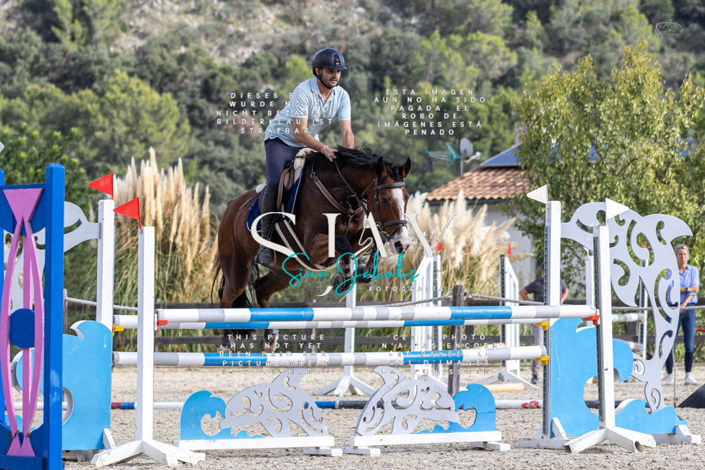 IMG_3461 | s-jay-photography - Realisiert mit Pictrs.com