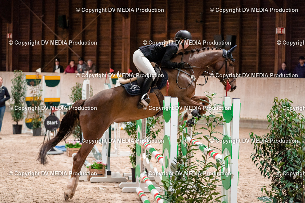 Springen Tag 1-078 | dv-media-shop - Realisiert mit Pictrs.com