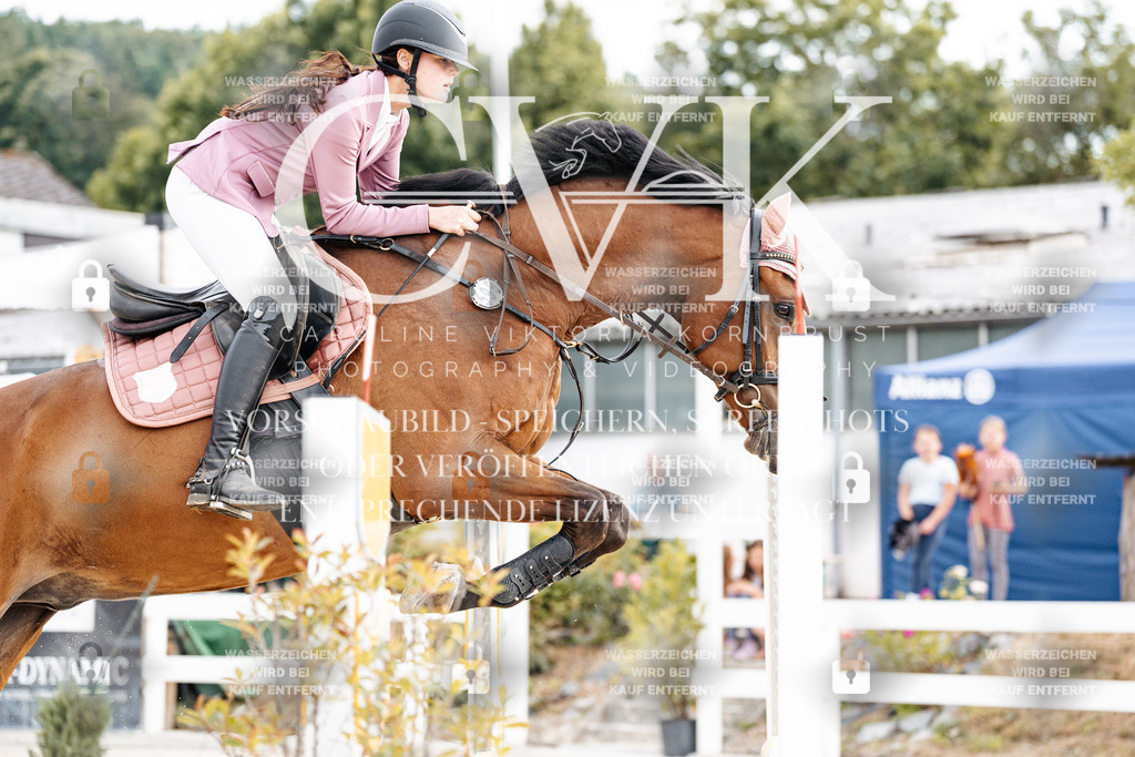 CK902892 | Turnierfotografie Pferdefotografie Trier Rheinland-Pfalz Pferdesport Reitsport Tierfotografie Sportfotografie Pferdevideo Pferdevideografie Equestrianvideography equestrianphotography  - Realisiert mit Pictrs.com