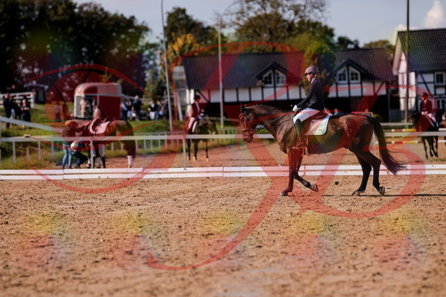 2026_10_03_Siefer-Hof_130229_Z81_56937834 | Professionelle Reitsport-, Turnier- und Eventfotografie von Robert Broda. Galerien mit ausgewählten und bearbeiteten Bildern direkt online ansehen und bestellen.