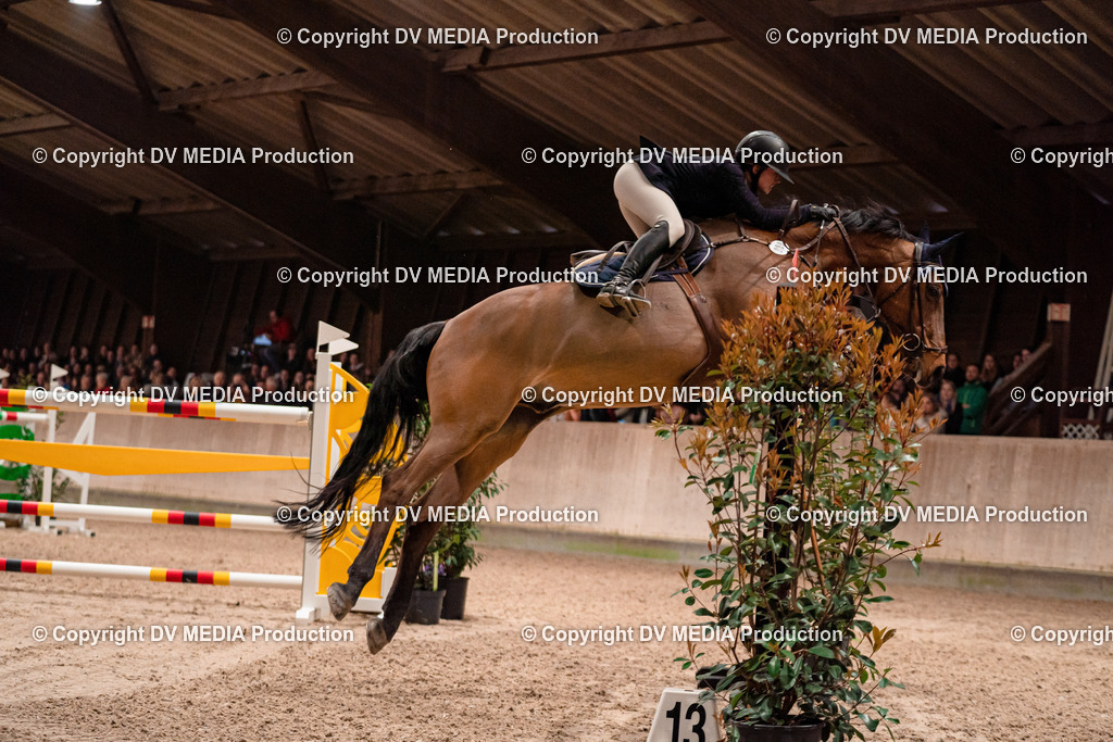 Springen Tag 3-596 | dv-media-shop - Realisiert mit Pictrs.com