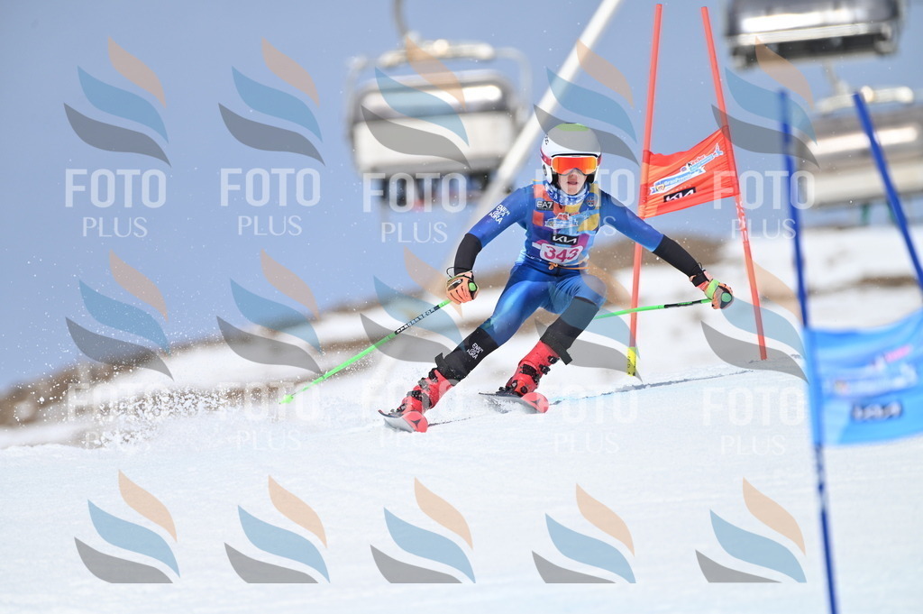 BGV_3492 | holidayphoto