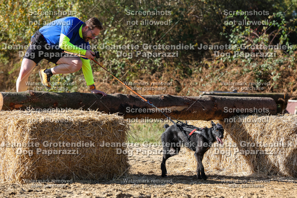Dog Paparazzi - Strongdog 10-25-2888 | Dog Paparazzi Jeanette Grottendiek Fotografie & Videografie - Realisiert mit Pictrs.com