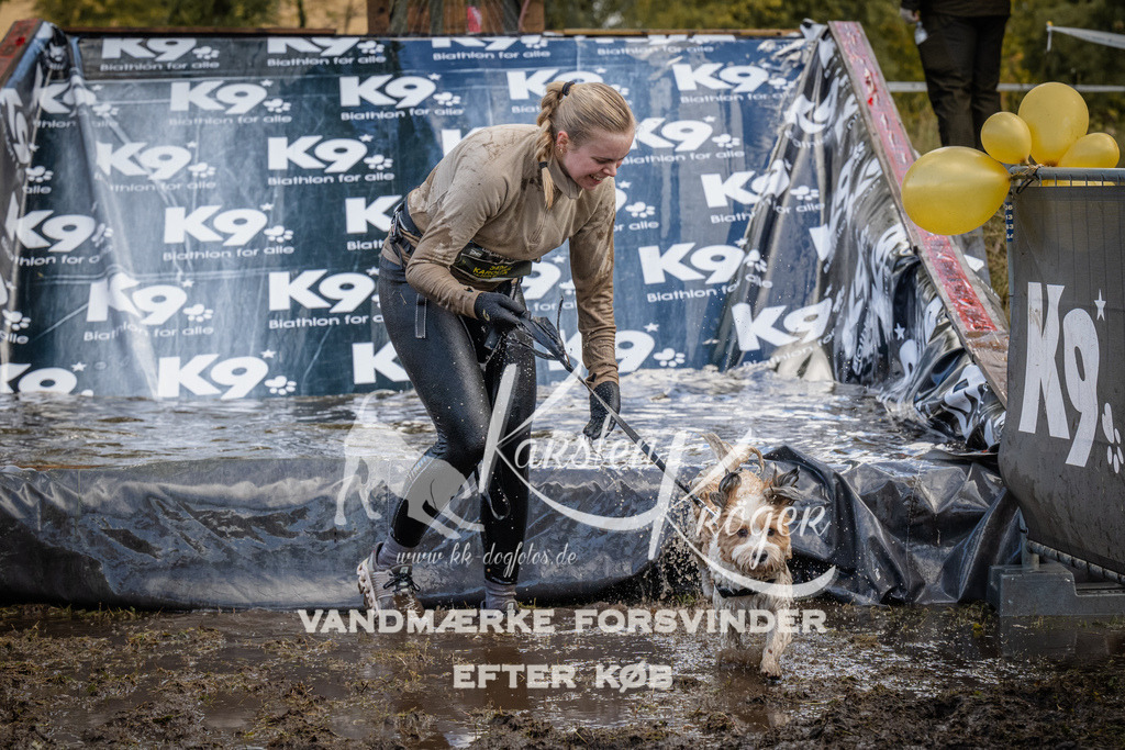 1530_ZZ94754 | kk-dogfotos