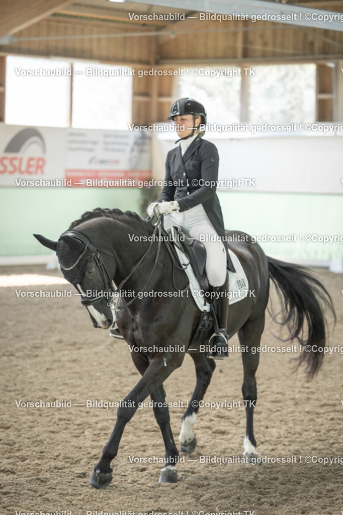 _D5A2099 | Emotionale Pferde- & People-Fotografie rund um Heidelberg, Leimen & Umgebung. Natürliche Fotos von Pferd, Mensch & Familie. Jetzt Termin sichern!