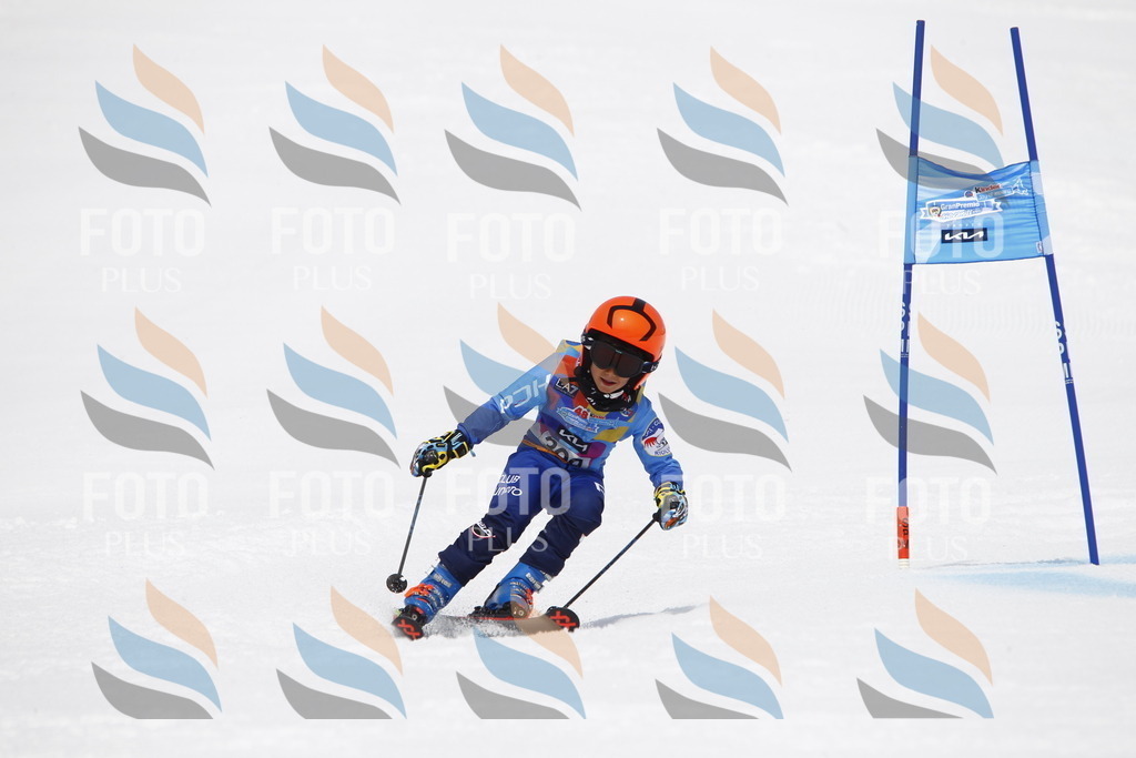 _U3G7681 | holidayphoto