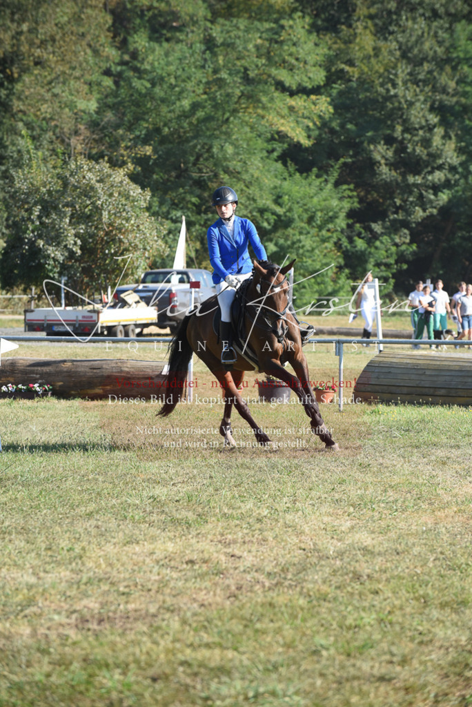 DSC_5312 | Pferde- und Turnierfotografie in Westsachsen. Pferdeportraits, Auftragszeichnungen und intuitive Kunst.