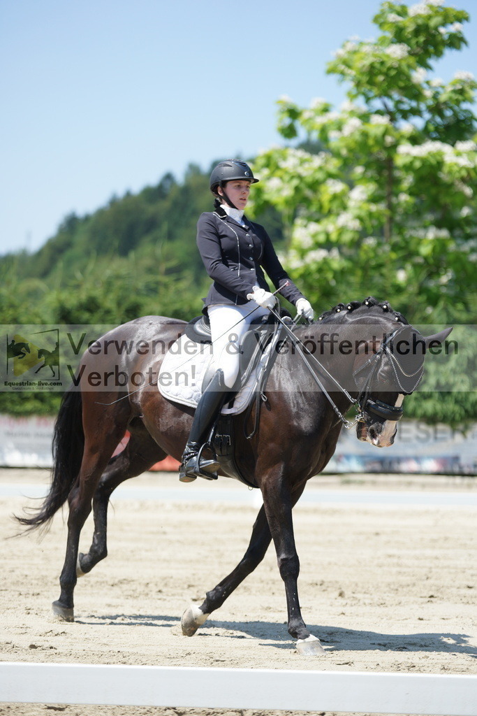 DSC03608 | equestrian-live-com