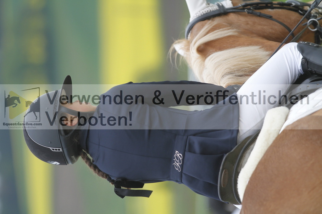 _MG_1104 | equestrian-live-com