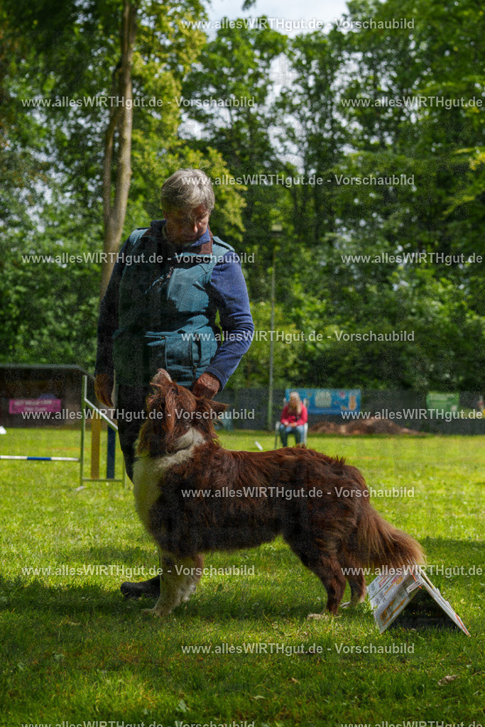 @allesWIRTHgut_Tierfotografie - www.allesWIRTHgut.de - 101112-7R508143 | Professionelle Tierfotografie in Mönchengladbach von Daniel Wirth (allesWIRTHgut). Liebevolle & natürliche Bilder von Hunden & Katzen für unvergessliche Erinnerungen.