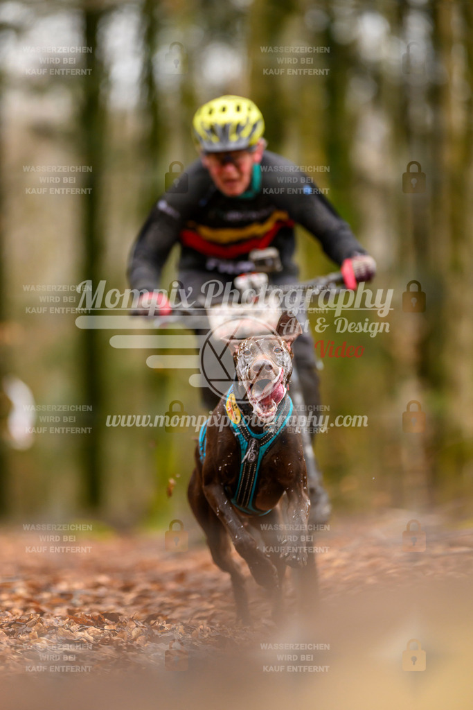 MompixPhotography_Habay2024_SA_Bike-31 | PayLife