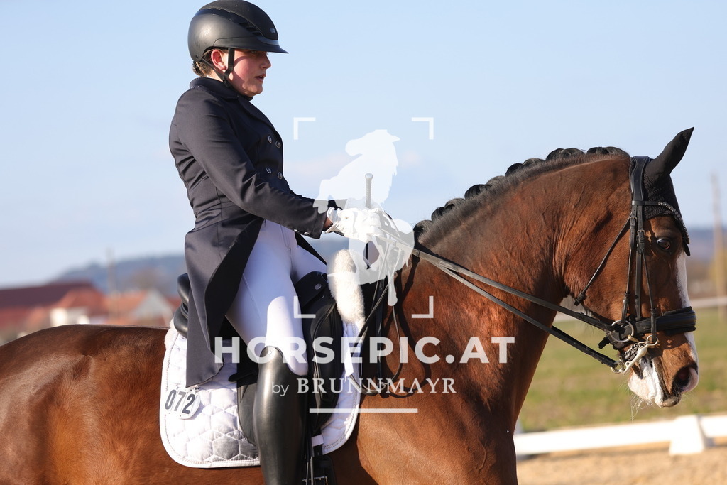 0P6A8118 | Willkommen bei Brunnmayr - Design & Fotografie – Ihrem Spezialisten für Reitturniere und Pferdeveranstaltungen in Oberösterreich, Salzburg und Bayern! Seit über 17 Jahren sind wir leidenschaftlich dabei.