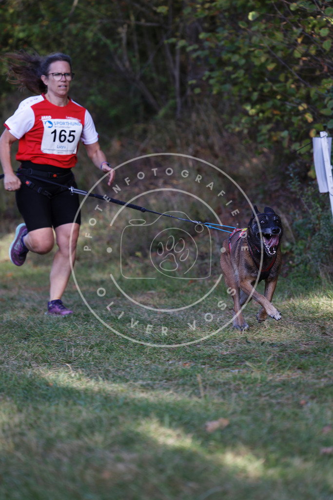 0L8A5391 | Hundefotografie, Tierfotograf, Pfotenfotografie, Fotoshooting Hund, Hunde Portrait, Hundesport, Hundeportraits, Heideshooting, Hunde, Sportfotograf, Hundefotograf, Turnierhundsport, THS,  - Realisiert mit Pictrs.com
