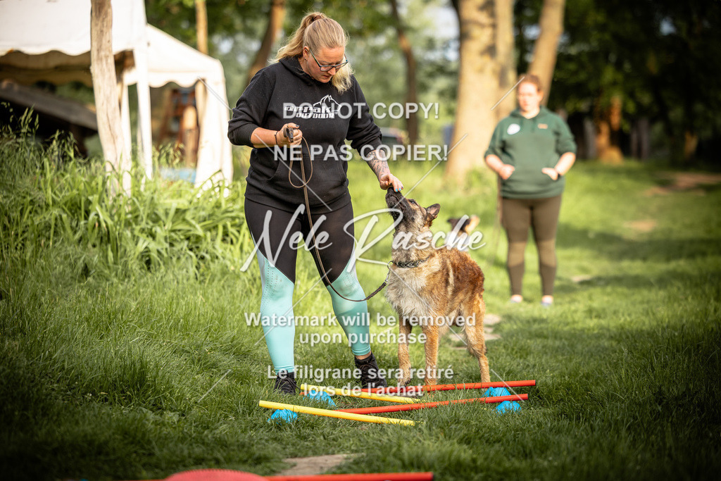 nelerasche_So-earlydog_68 | nelerasche