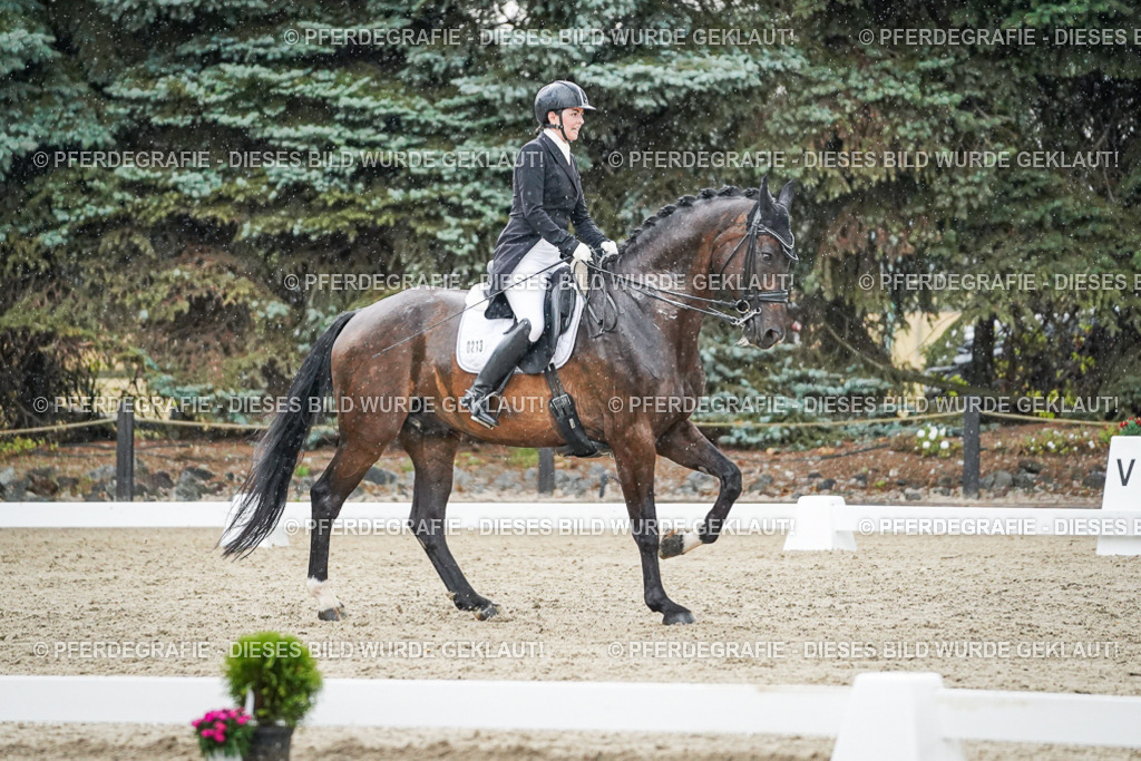 DSC08236 | Pferdegrafie