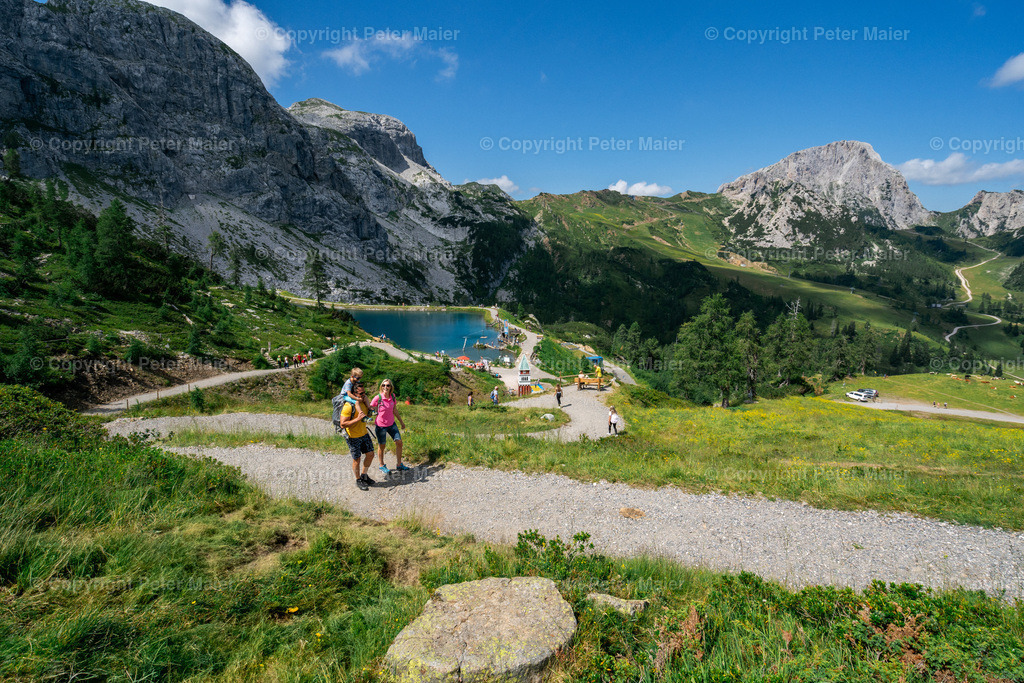 Familie_Madritsche_20-878 | piet_flosse