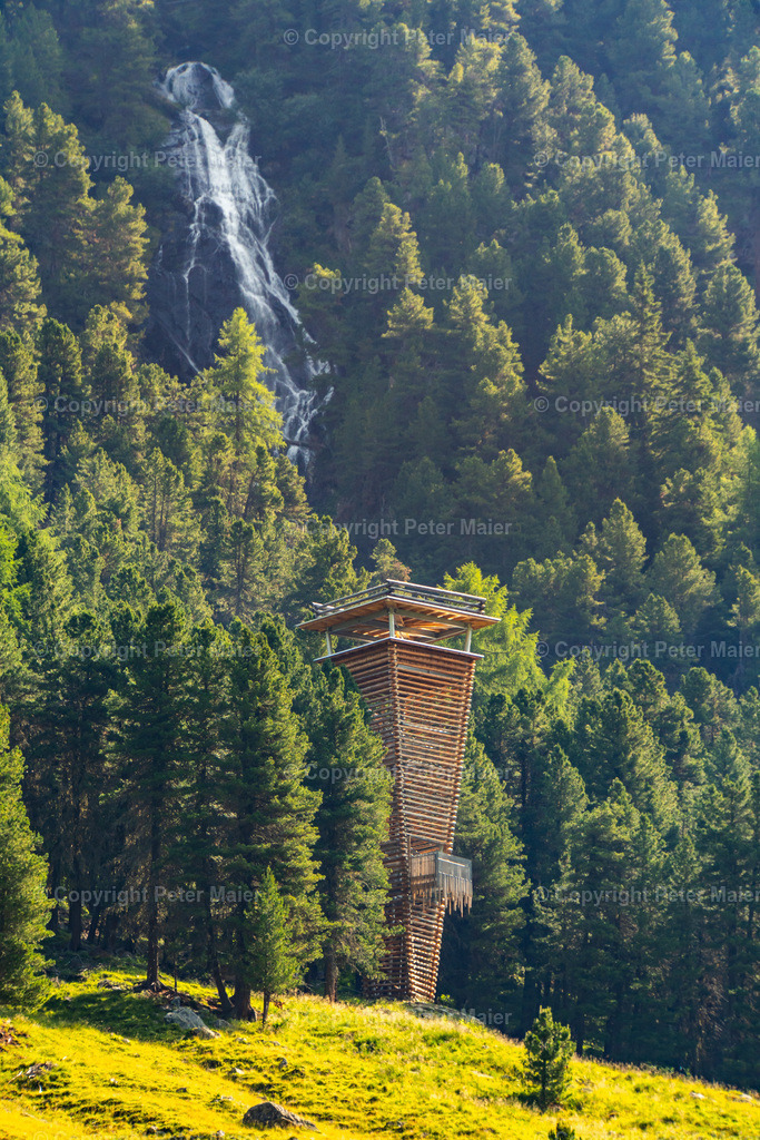 Wildtierbeobachtung_Oberhaus_Erlebnisraum_Wald_23_Peter_Maier-156 | piet_flosse