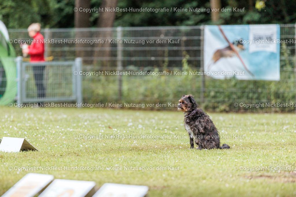 RO-Blumenthal-2026-Nickbest-Hundefotografie-2426 | Dein Hund! Dein Moment! Deine Erinnerungen! Hundefotografie in Bremen Blumenthal. Ich fange die besonderen Momente deines Vierbeiners ein – ob Indoor mit Blitzanlage oder in der freien Natur. Sicher dir dein Moment und dein Termin für eure Erinnerungen.