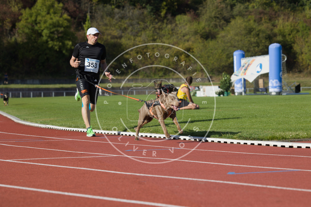 0L8A0145 | Hundefotografie, Tierfotograf, Pfotenfotografie, Fotoshooting Hund, Hunde Portrait, Hundesport, Hundeportraits, Heideshooting, Hunde, Sportfotograf, Hundefotograf, Turnierhundsport, THS,  - Realisiert mit Pictrs.com