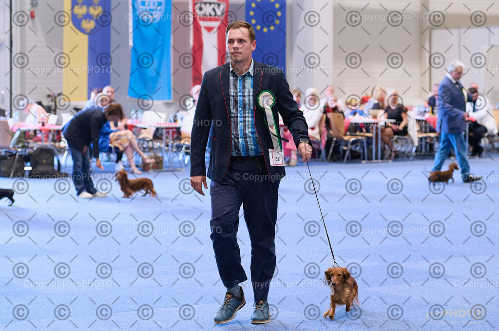 202406_ÖKV-IHA-Tulln24_DSC_3897 | proPHOTO - Realisiert mit Pictrs.com