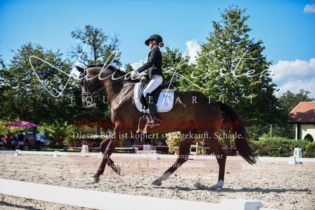 DSC_9604 | Pferde- und Turnierfotografie in Westsachsen. Pferdeportraits, Auftragszeichnungen und intuitive Kunst.