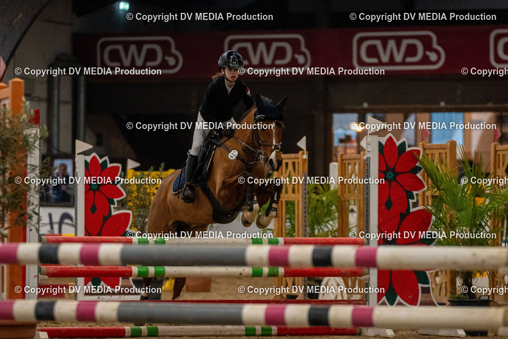 Kranichstein Tag 1-290 | dv-media-shop - Realisiert mit Pictrs.com