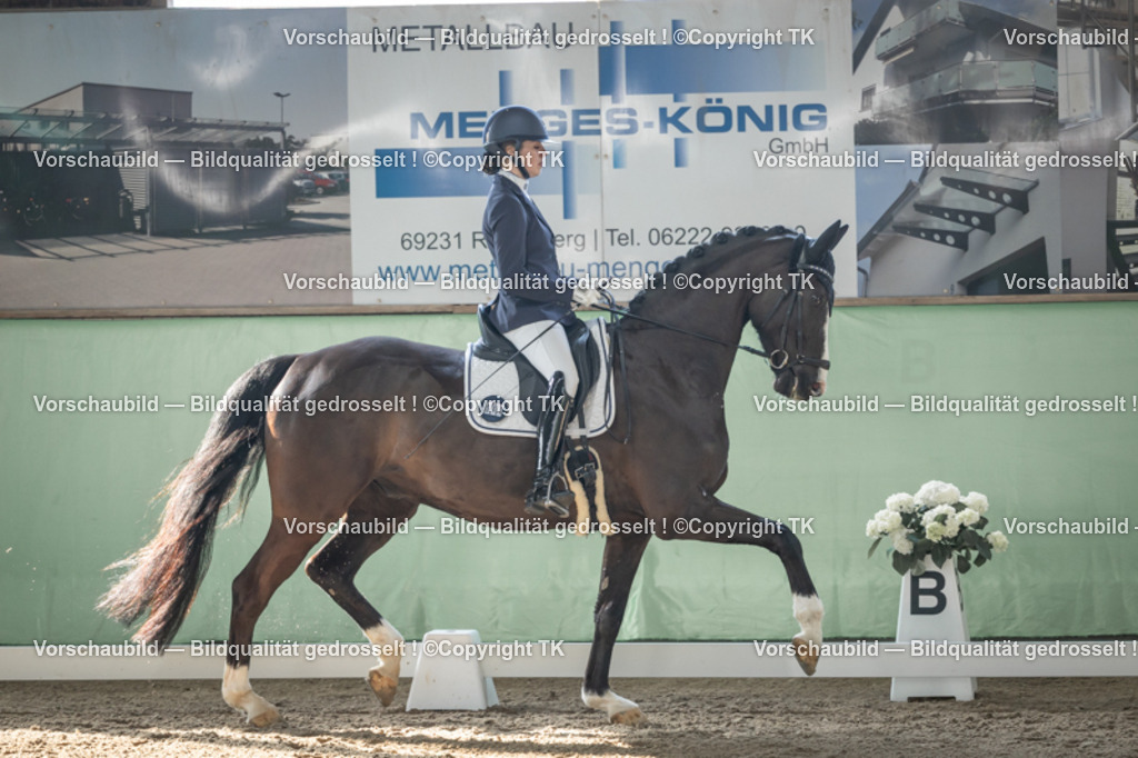 _D5A0636 | Emotionale Pferde- & People-Fotografie rund um Heidelberg, Leimen & Umgebung. Natürliche Fotos von Pferd, Mensch & Familie. Jetzt Termin sichern!