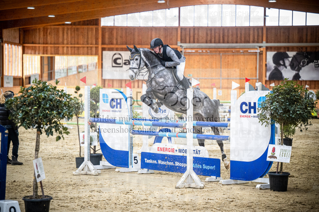 DOS_1647 | Entdecke hochwertige Reitturnierfotos von Foto Oger. Professionell, emotional und authentisch – jetzt Lieblingsmomente im Shop bestellen.Deutschlandweite Turnierfotografie. - Realisiert mit Pictrs.com