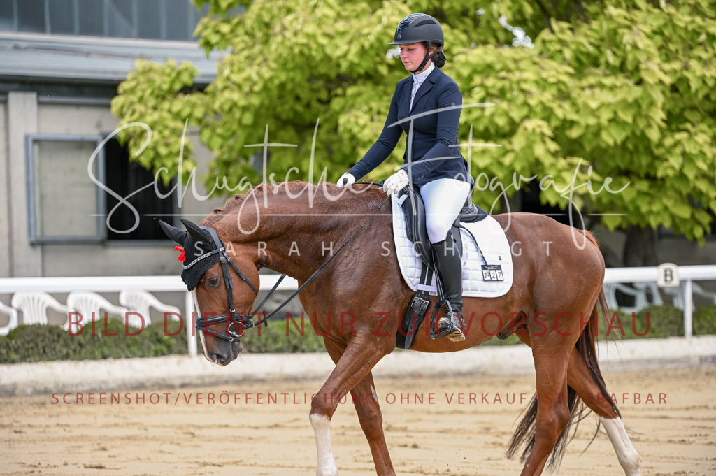 Schugtsche-Aluta25-48.Reitpferfdeprf.-173 | Schugtsche Fotografie - Realisiert mit Pictrs.com