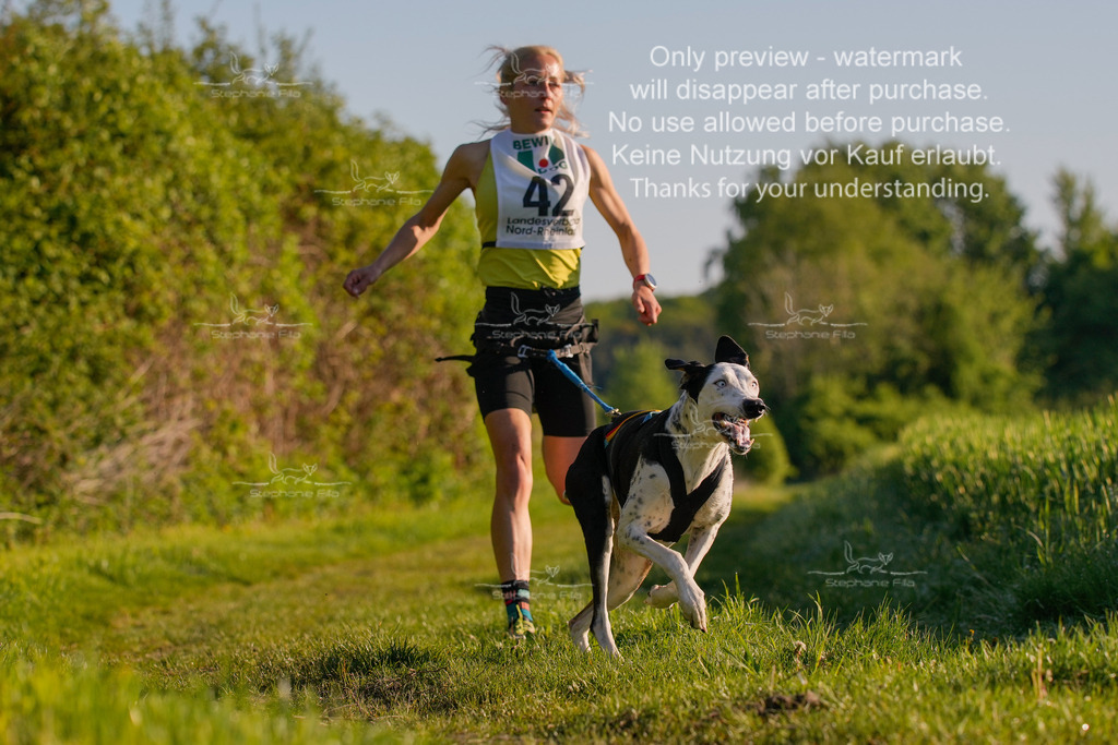 So_GL5undSprint-30 | stephaniefillaphotographie - Realisiert mit Pictrs.com