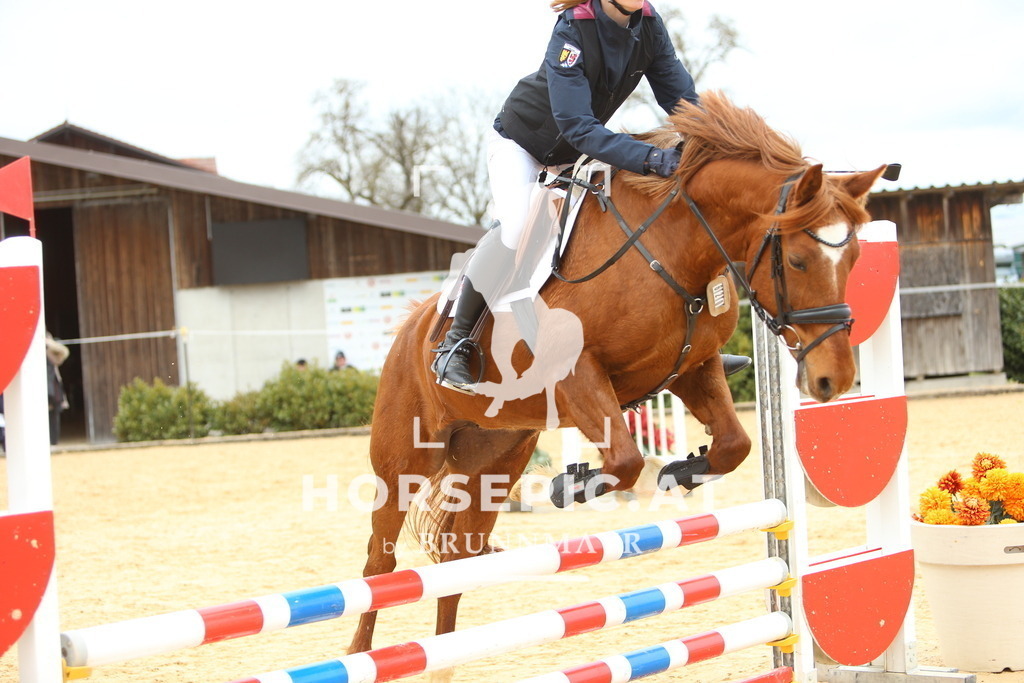 DL2Q1670 | Willkommen bei Brunnmayr - Design & Fotografie – Ihrem Spezialisten für Reitturniere und Pferdeveranstaltungen in Oberösterreich, Salzburg und Bayern! Seit über 17 Jahren sind wir leidenschaftlich dabei.