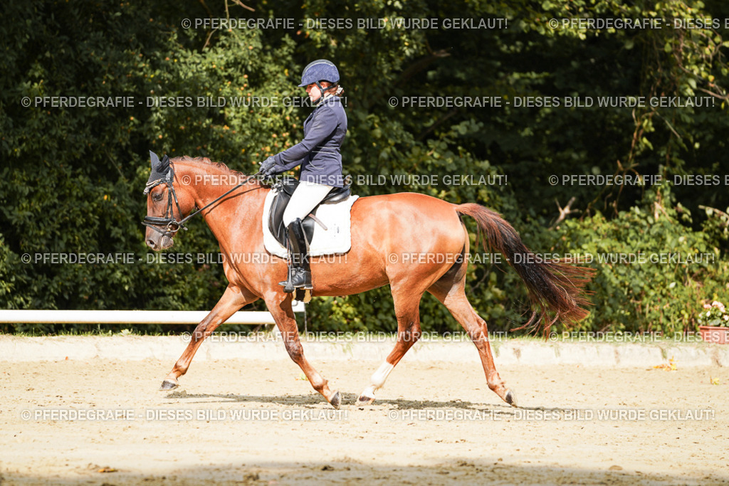 DSC02362 | Pferdegrafie