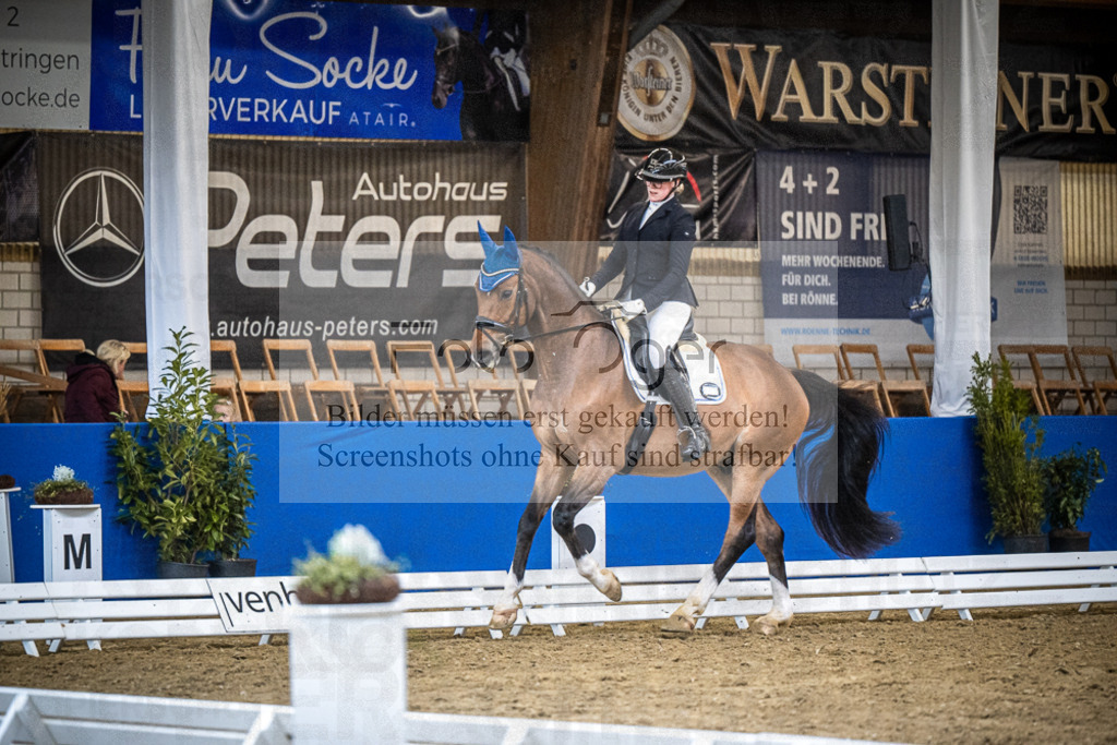 DOS_2453 | Entdecke hochwertige Reitturnierfotos von Foto Oger. Professionell, emotional und authentisch – jetzt Lieblingsmomente im Shop bestellen.Deutschlandweite Turnierfotografie. - Realisiert mit Pictrs.com