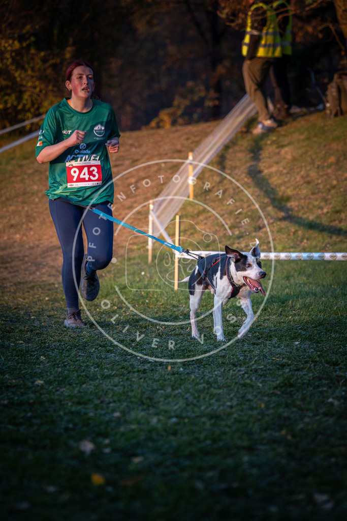 CaniXpix_0L8A1969 | Hundefotografie, Tierfotograf, Pfotenfotografie, Fotoshooting Hund, Hunde Portrait, Hundesport, Hundeportraits, Heideshooting, Hunde, Sportfotograf, Hundefotograf, Turnierhundsport, THS,  - Realisiert mit Pictrs.com