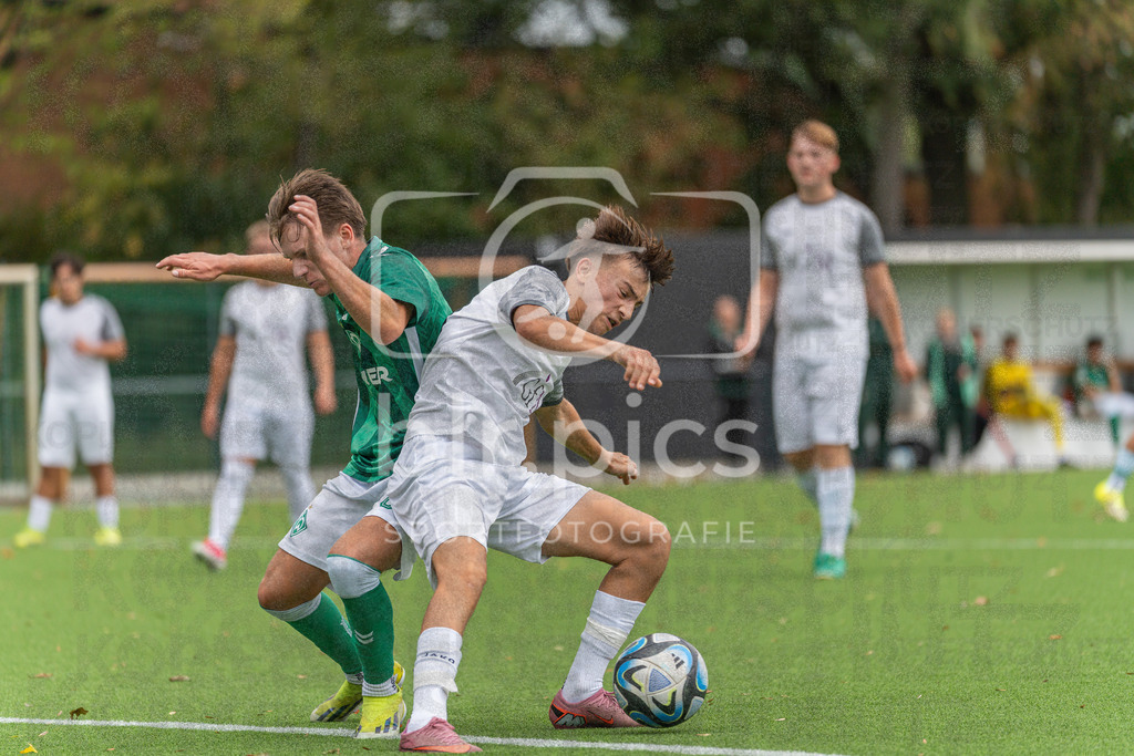SV Werder Bremen - SV Grohn | SV Werder Bremen - SV Grohn
